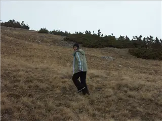 small_041024 misc co bald mtnPICT9433.webp